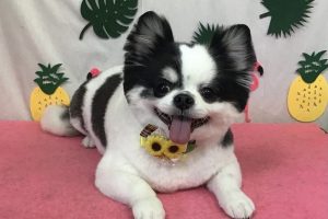 7月のお友達☆