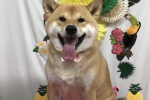 7月のお友達☆