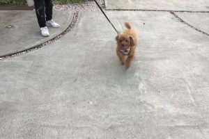 7月のお友達☆お泊まり☆