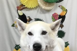７月のお友達☆