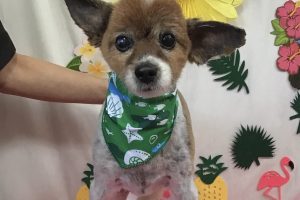 7月のお友達☆