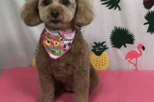 ７月のお友達☆