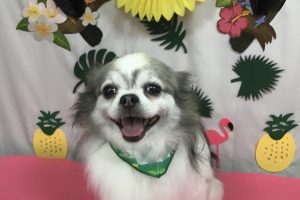 7月のお友達☆