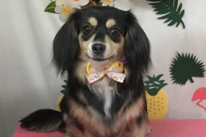 ７月のお友達☆