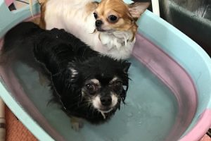 ７月のお友達☆