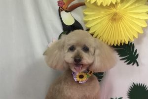 7月のお友達☆