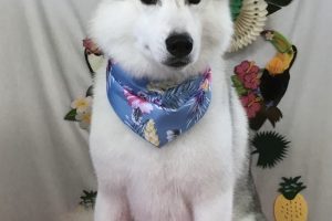 7月のお友達☆