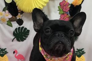7月のお友達☆