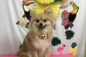 ７月のお友達☆