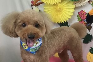 7月のお友達☆