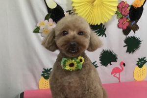 ７月のお友達☆