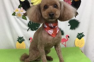 ７月のお友達☆