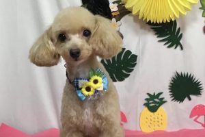 ７月のお友達☆