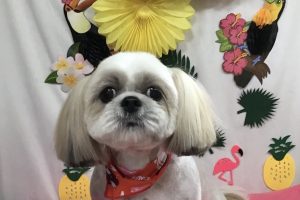 7月のお友達☆