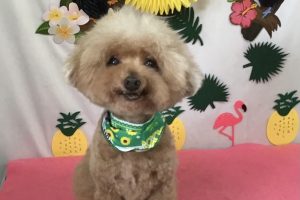 7月のお友達☆