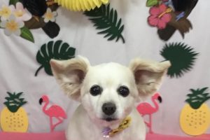 7月のお友達☆