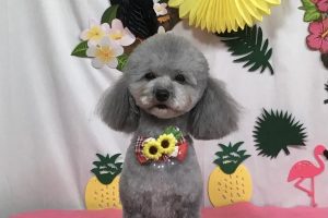 7月のお友達☆