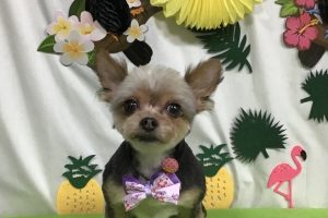 ７月のお友達☆