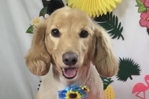 7月のお友達☆