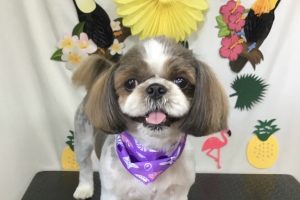 ７月のお友達☆