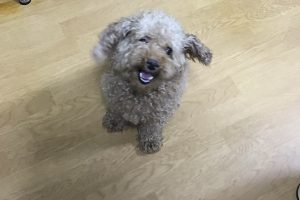 お泊まり中☆