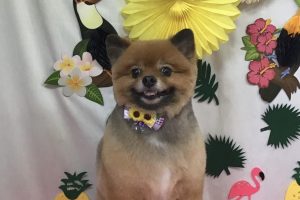 ７月のお友達☆