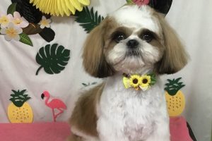 ７月のお友達☆