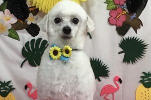 7月のお友達☆