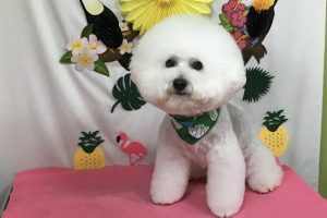 ７月のお友達☆