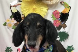 ７月のお友達☆