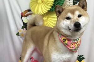 ７月のお友達☆