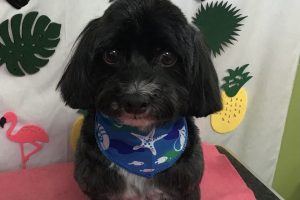 7月のお友達☆