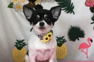 7月のお友達☆