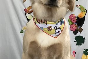 ７月のお友達☆