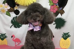 7月のお友達☆