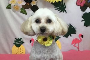 7月のお友達☆