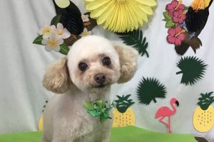 ７月のお友達☆