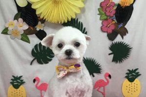 ７月のお友達☆