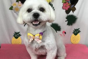 7月のお友達☆