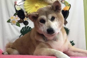 7月のお友達☆