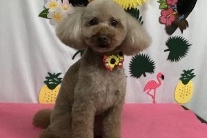 7月のお友達☆