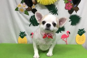 ７月のお友達☆