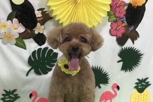 7月のお友達☆