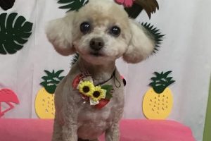 7月のお友達☆