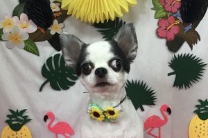 7月のお友達☆
