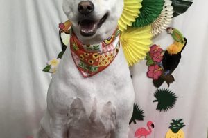 7月のお友達☆