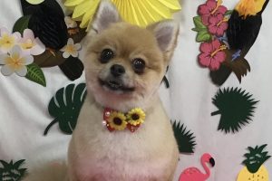 7月のお友達☆