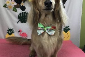 ７月のお友達☆