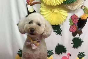 7月のお友達☆