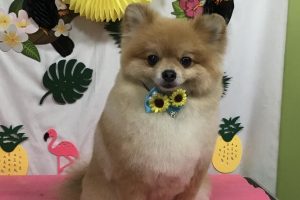 7月のお友達☆
